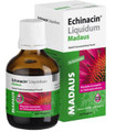 Echinacin Liquidum 50ml
