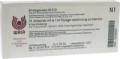 Bindegewebe Connective Tissue GL 12X (D12) Ampullen (Ampoules) 10 x 1ml