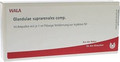 Glandulae Suprarenales Comp. Ampullen (Ampoules) 10 x 1ml