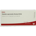 Glandula Suprarenalis (Cortex) GL 4X (D4)  Ampullen (Ampoules) 10 x 1ml