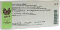 Iscucin Populi Potenzreihe Stärke F Ampullen (Ampoules) 10 x 1ml