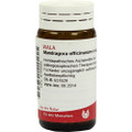 Mandragora Officinarium E Radice 4X (D4) Globuli (Globules) 20g (Round Sugar Pills)