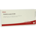 Medulla Ossium GL 4X (D4) Ampullen (Ampoules) 10 x 1ml