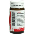 Melissa/Sepia Comp. Globuli (Globules) 20g (Round Sugar Pills)