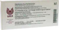 Membrana Sinus Frontalis GL 5X (D5) Ampullen (Ampoules) 10 x 1ml