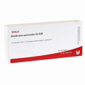 Membrana Synovialis GL 30X (D30) Ampullen (Ampoules) 10 x 1ml