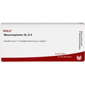 Mesencephalon GL 8X (D8) Ampullen (Ampoules) 10 x 1ml