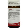 Nux Vomica E Semine 6X (D6) Globuli (Globules) 20g (Round Sugar Pills)
