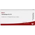 Oesophagus GL 8X (D8) Ampullen (Ampoules) 10 x 1ml