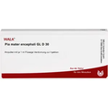 Pia Mater Encephali GL 30X (D30) Ampullen (Ampoules) 10 x 1ml