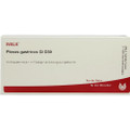 Plexus Gastricus GL 30X (D30) Ampullen (Ampoules) 10 x 1ml