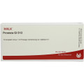 Prostrata GL 12X (D12) Ampullen (Ampoules) 10 x 1ml