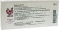 Prostrata GL 15X (D15) Ampullen (Ampoules) 10 x 1ml