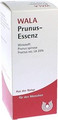 Prunus Essenz (Esdence) 100 ml