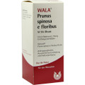 Prunus Spinosa E Floribus W 5% Oleum 100ml