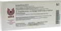 Sympathicus GL 5X (D5) Ampullen (Ampoules) 10 x 1ml