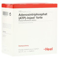 Adenosintriphosphat (ATP) Forte Ampullen (Ampoules) 100 x 1.1ml