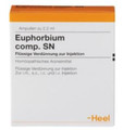 Euphorbium Comp SN Ampullen (Ampoules) 100 x 2.2ml