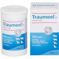 Traumeel LT ad us.vet. for Animals Tablets 250st