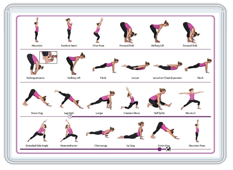Buy Hatha Yoga Poses Chart: 60 Common Yoga Poses and Their Names - A  Reference Guide to Yoga Asanas (Postures) 8.5 x 11