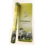 Flute Frangipani 6 pack