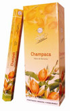 Flute Champa 6pack
