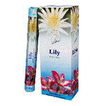 Flute Lily 6 pack