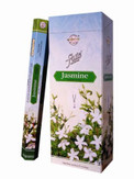 Flute Jasmine 6 pack
