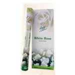 Flute White Rose 6Pk