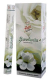 Flute Gardenia 6pack
