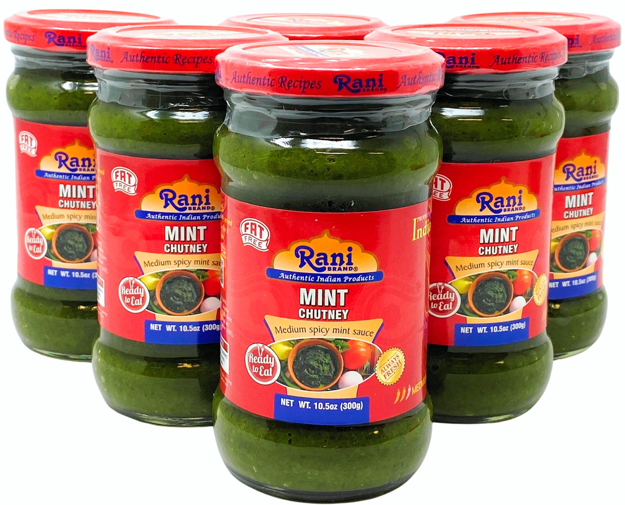 Eat,　Indian　to　Gluten　Vegan　Glass　Origin　Jar,　5+1　Chutney　of　Pack　No　(300g)　Free　NON-GMO　(Podina)　Rani　Colors　Ready　Mint　10.5oz　FREE