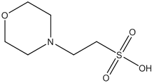 2-Morpholinoethanesulfonic acid