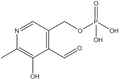 Pyridoxal-5-phosphate