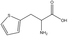 b-(2-Thienyl)-DL-alanine