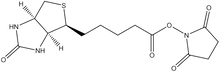 Biotin-N-hydroxysuccinimide