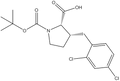 Boc-(R)-g-(2,4-dichlorobenzyl)-L-proline