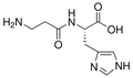 L-Carnosine 1 g