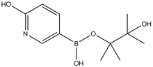 2-Hydroxypyridine-5-boronic acid pinacol ester 1g