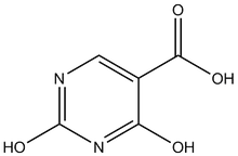 2,4-Dihydroxypyrimidine-5-carboxylic acid 5g
