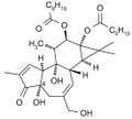 4alpha-Phorbol 12,13-Didecanoate 1mg