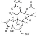 4alpha-Phorbol 12-Myristate 13-Acetate 1mg