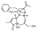 Resiniferonol 9,13,14-Orthophenylacetate 1mg