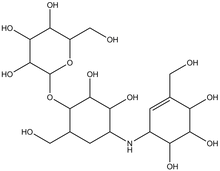 Validamycin A 1g