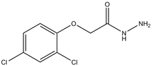 2,4-Dichlorophenoxyacetic acid hydrazide 25g
