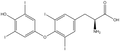 L-Thyroxine 1g
