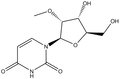 2'-O-Methyluridine 1g
