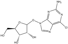 2-Amino-6-chloropurine-9-riboside 1g
