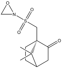 (1S)-(+)-(10-Camphorsulfonyl)oxaziridine 1g
