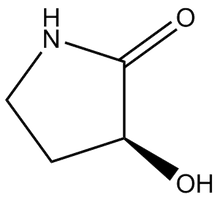 (S)-(-)-3-Hydroxy-2-pyrrolidone 1g
