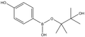 4-Hydroxyphenylboronic acid pinacol ester 1g